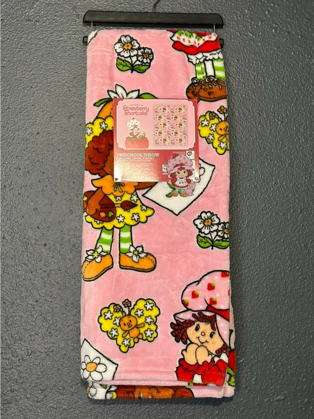 Strawberry Shortcake Preschool Throw